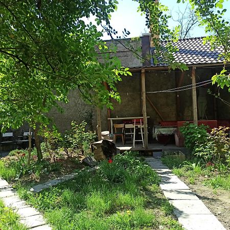אודסה Номер В Гостевом Доме У Моря מראה חיצוני תמונה